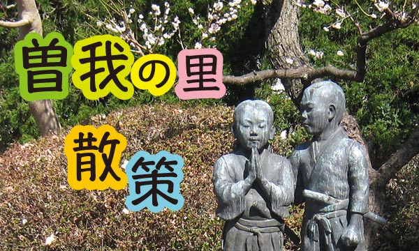 曽我の里散歩