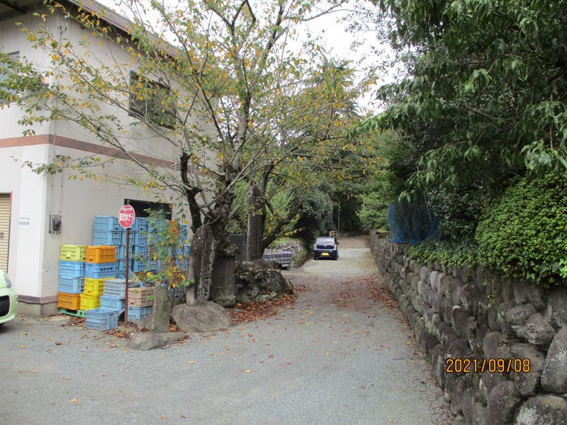 法輪寺