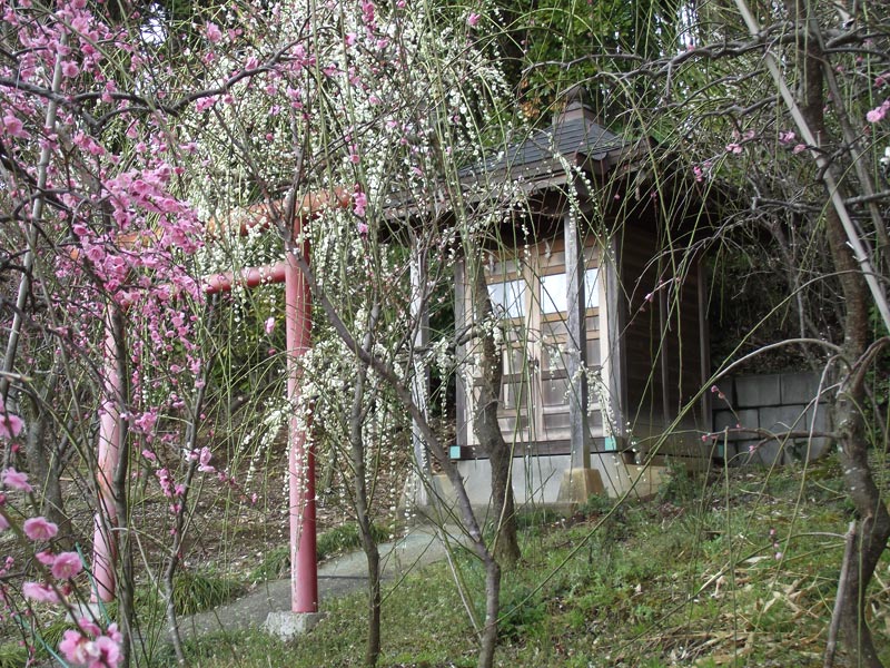 見送り稲荷